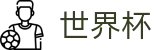 2026世界杯推荐官方网站 | 点燃足球梦想